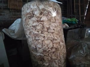 Krupuk Umar Singgih